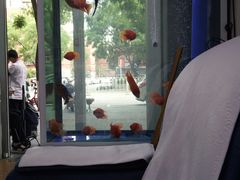 -杨一刀修脚(马连道南街店)