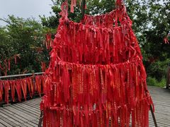 -帽儿山国家森林公园