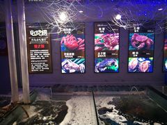 -蟹之国·精品蟹料理(极地店)