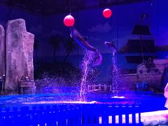 -华夏文旅海洋公园