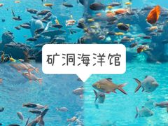 -长鹿旅游休博园
