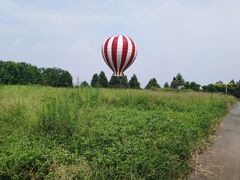 -紫颐香薰山谷景区