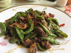 尖椒拆骨肉（开胃下酒）-石老头关东饺子王·东北菜(嘉华鑫城店)