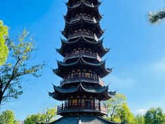 -龙华素斋(龙华路店)