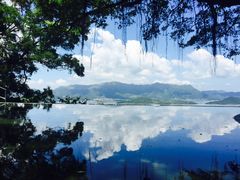 -大埔公路-马料水段香港中文大学(公交站)