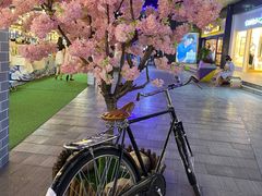 -老头儿油爆虾(星光一期店)