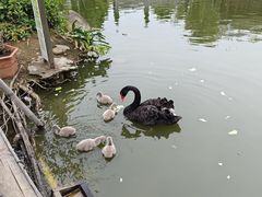 -厦门园林博览苑