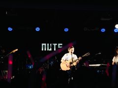-坚果NUTS
