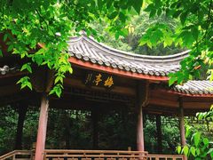 -十八棵（老龙井）御茶园(老龙井店)