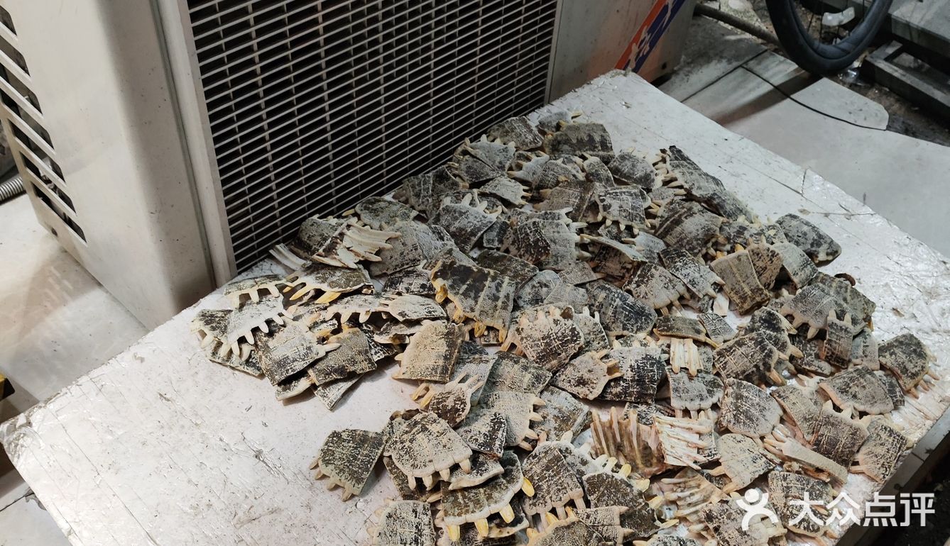 冬季进补的甲鱼锅吃一个～