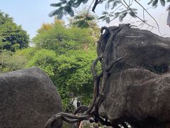 -深圳国际园林花卉博览园