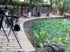 池边的长枪短炮-四川大学(华西校区)