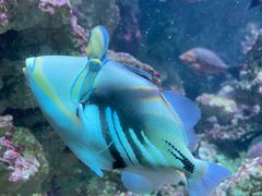-海合安青岛极地海洋公园