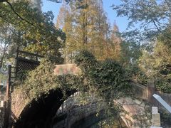 -黄贤森林公园