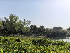 -贡湖湾湿地公园