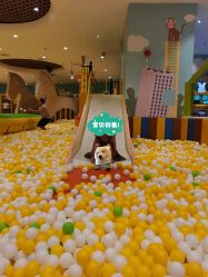 -MELAND(郑州万象城店)