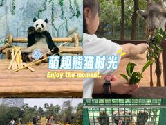 -深圳野生动物园