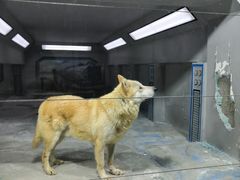 -大连圣亚海洋世界