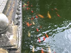 -绵阳人民公园(涪城区)