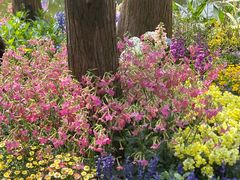 -人民公园(罗湖区)