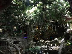 -多彩贵州城极地海洋世界