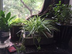 -孙三拨按摩(大纺店)