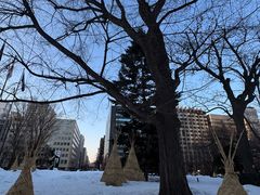 -北海道厅旧本厅舍(旧本庁舎)