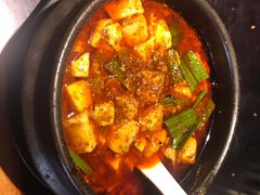 -陈麻婆豆腐总店