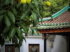-广州兰圃