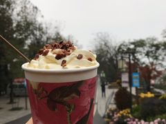 幽兰拿铁-茶颜悦色(岳麓山顶店)