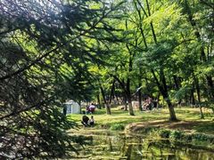 -长白岛森林公园