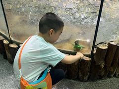-上海大自然野生昆虫馆(东方明珠·爬宠昆虫探索中心)