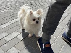 -安福路
