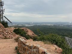 -红山国家森林公园