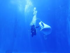 -多彩贵州城极地海洋世界