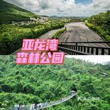 爱上网红打卡三亚，更爱地道美食哦