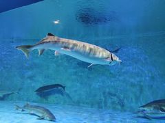 -石林冰雪海洋世界