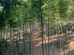 -天目湖御水温泉·度假酒店