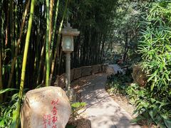 -广州兰圃