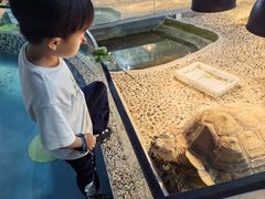 -上海大自然野生昆虫馆(东方明珠·爬宠昆虫探索中心)