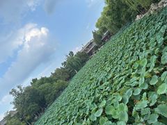 -莲池书院博物馆