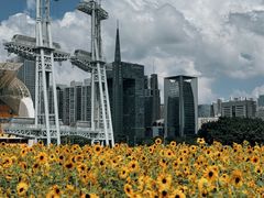 -海心沙亚运公园