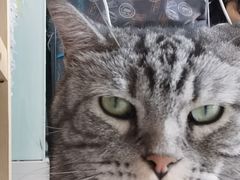 -平行世界·猫咖(首经贸店)