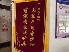 -宠爱国际动物医院·消化内科·心肾内科·ISFM猫友好(望京店)