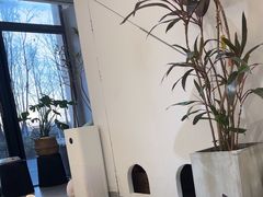 -琪喵猫屋·撸猫猫咖·猫舍