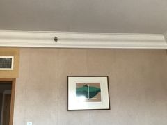 -南京维景国际大酒店(南京博物院店)