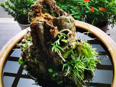 -苏州独墅湖书香世家酒店