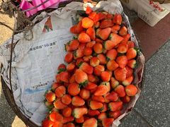 -友阿国际广场(邵阳店)