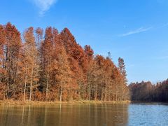 -上海海湾国家森林公园