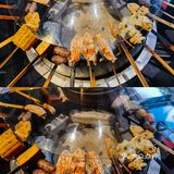 饭搭子们总带给我惊喜